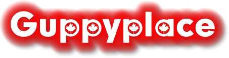 Guppy Logo